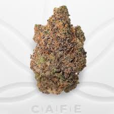 LEMON CHERRY GELATO EXOTICS THCA HEMP FLOWER